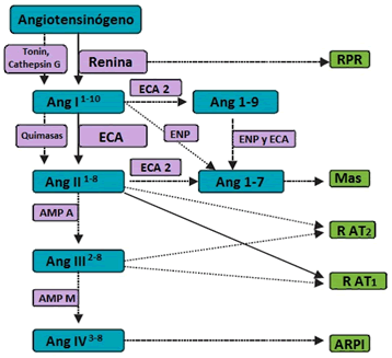 Figura 2