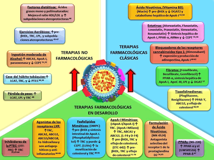 Figura 4