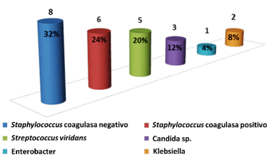 Grafico 2