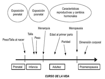 Figura 1